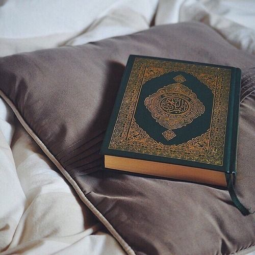Quran.com v4 api