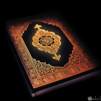 مسابقة قصص من القرآن - عالم زيدو