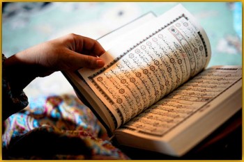 البحث بالتشكيل في القرآن الكريم