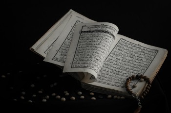تفسير القرآن الكريم من موقع نون