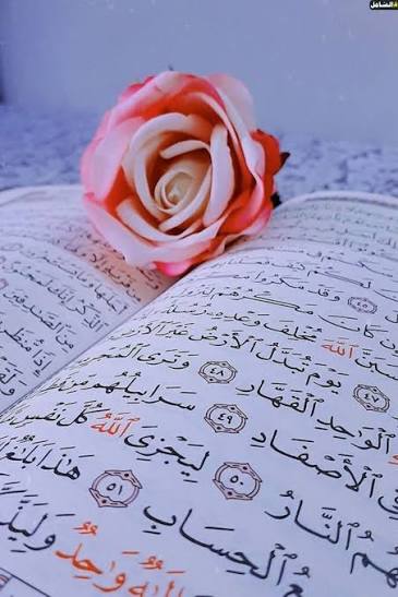 Quran Database