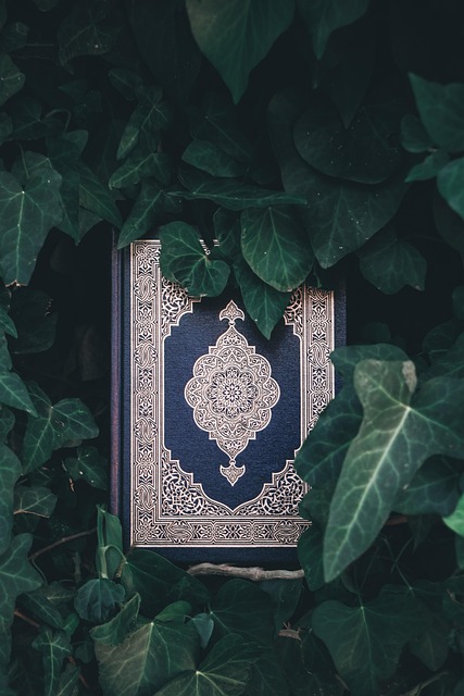 Quran JSON