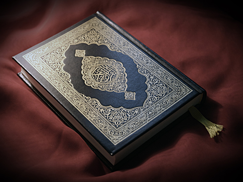 Study Quran
